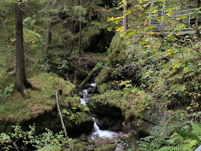 Im Allgäu 2017 (1)